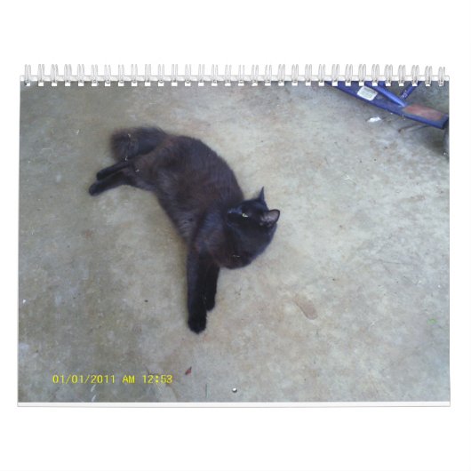 blinky calander kalender (Titelbild)