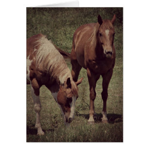 Blinky und Scotch Grunge
