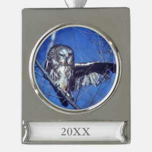 Blinzeln der Eule Banner-Ornament Silber
