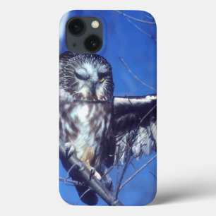 Blinzeln der Eule iPhone 13 Hülle