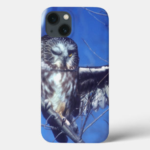 Blinzeln der Eule iPhone 13 Hülle