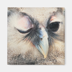 Blinzeln der Eule Magnet