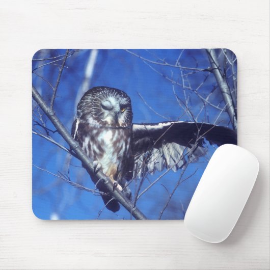 Blinzeln der Eule Mousepad (Mit Mouse)