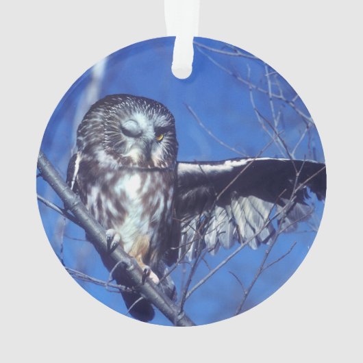 Blinzeln der Eule Ornament (Rückseite)