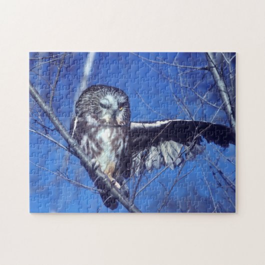 Blinzeln der Eule Puzzle (Horizontal)