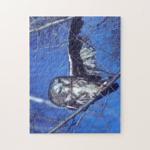 Blinzeln der Eule Puzzle