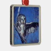 Blinzeln der Eule Silbernes Ornament (Rechts)