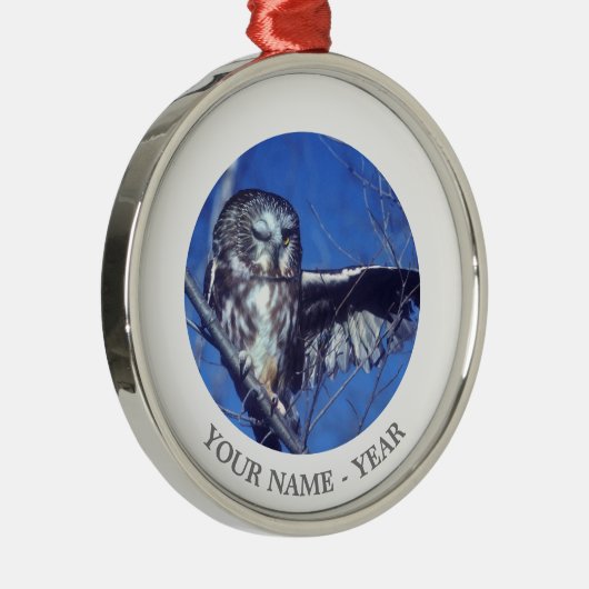 Blinzeln der Eule Silbernes Ornament (Rechts)