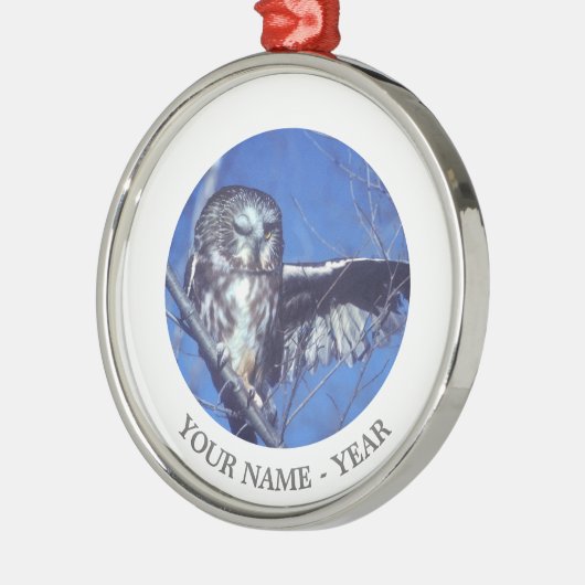 Blinzeln der Eule Silbernes Ornament (Links)