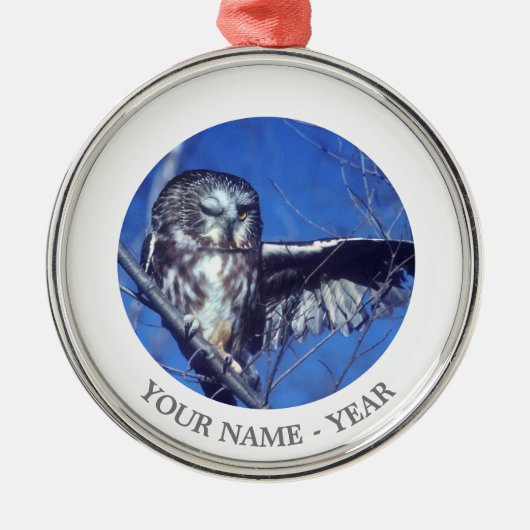 Blinzeln der Eule Silbernes Ornament (Vorne)