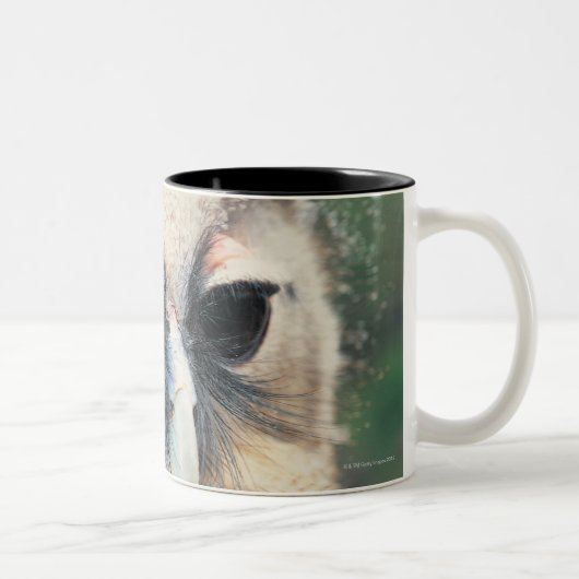 Blinzeln der Eule Zweifarbige Tasse (Rechts)