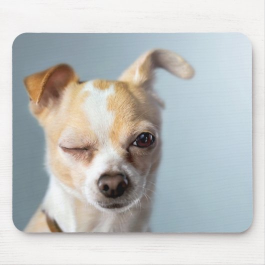 Blinzeln des Hundes Mousepad (Vorne)