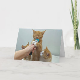 "Bliss" - Huey und seine Lieblingsstifter Leckerei Karte