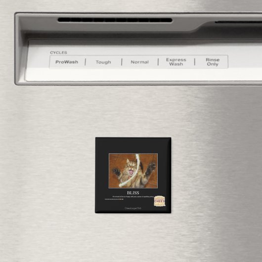 Bliss Magnet (In Situ (Geschirrspüler))