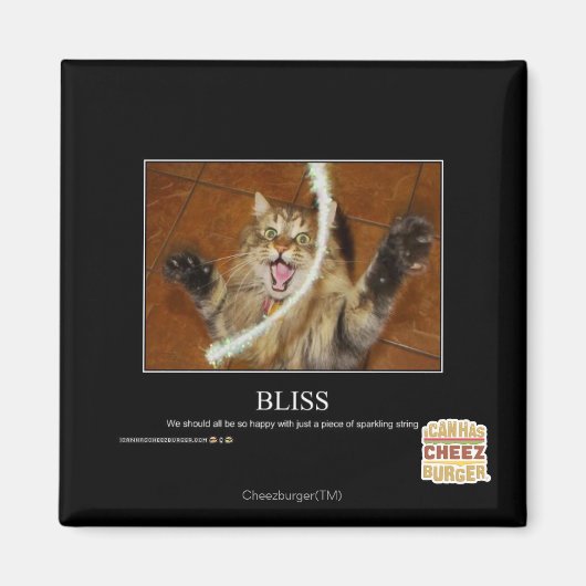 Bliss Magnet (Vorne)