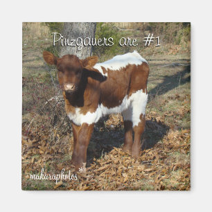 Bliss Magnet anpassen