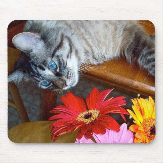Bliss Mousepad Louie Katze die Blume (Vorne)