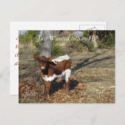 Bliss Postcard anpassen Postkarte (Vorne/Hinten)