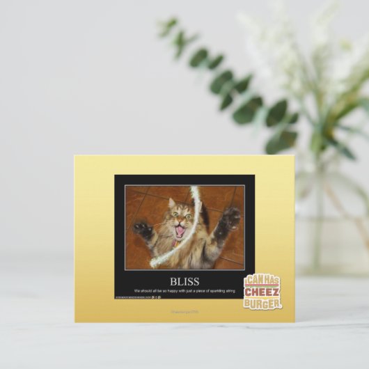 Bliss Postkarte (Stehend Vorderseite)