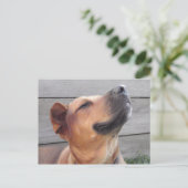 Bliss Postkarte (Stehend Vorderseite)