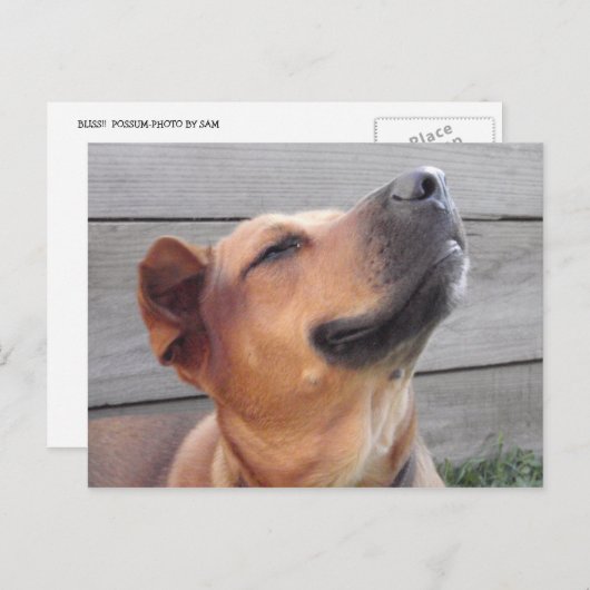 Bliss Postkarte (Vorne/Hinten)