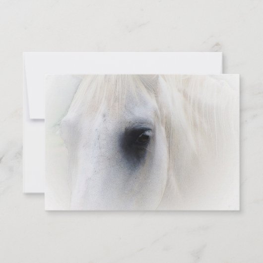 Blisses Pferd (Vorderseite)