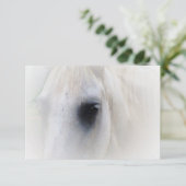 Blisses Pferd (Stehend Vorderseite)