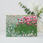Blissful Garden (Stehend Vorderseite)