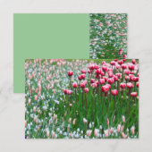 Blissful Garden (Vorne/Hinten)