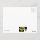 Blisterpackung Käfer - Meloidae Postkarte (Rückseite)