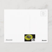 Blisterpackung Käfer - Meloidae Postkarte (Rückseite)