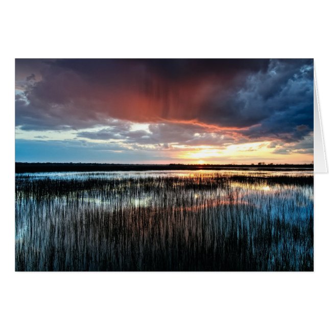 Blitz (Vorderseite (Horizontal))