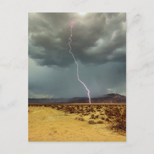 Blitz-Joshua-Baum-Farbe Postkarte (Vorderseite)