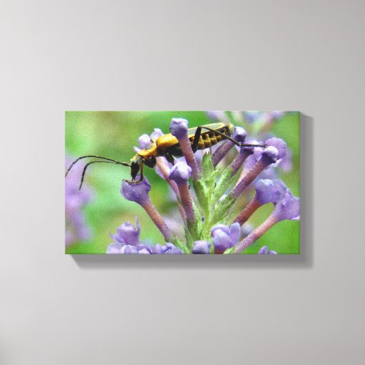 Blitz! Leinwanddruck (Vorderseite)