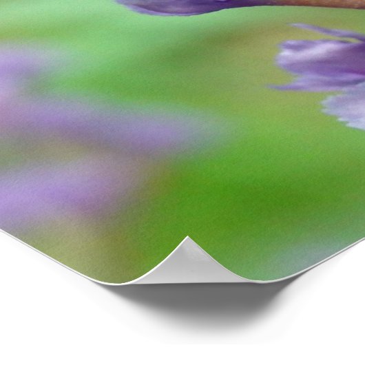 Blitz! Poster (Ecke)