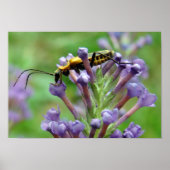 Blitz! Poster (Vorne)