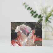 Blitze ich! postkarte (Stehend Vorderseite)