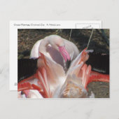 Blitze ich! postkarte (Vorne/Hinten)