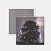 Blitze im Himmel hinter einem Baum Magnet (Vorderseite/Rückseite)
