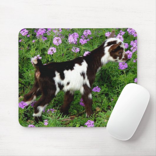 Blitze nigerianische Zwergziege Kind in violetten  Mousepad (Mit Mouse)