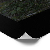 Blitze schlagen einen Baum Poster (Ecke)