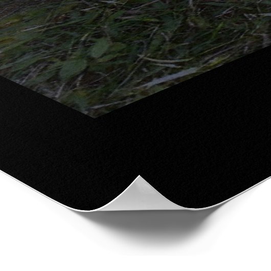 Blitze schlagen einen Baum Poster (Ecke)