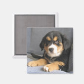 Blitzen Magnet (Vorderseite/Rückseite)