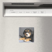 Blitzen Magnet (In Situ (Geschirrspüler))