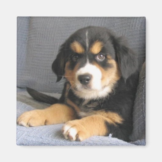 Blitzen Magnet (Vorne)