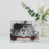 Blitzer Neufundländer Hund Fahrer Spaß Postkarte (Stehend Vorderseite)