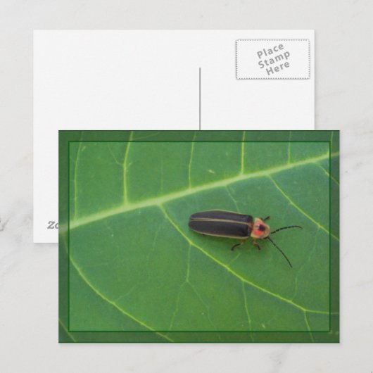 Blitzfehler am Ende Postkarte (Vorne/Hinten)