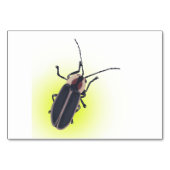 Blitzfehler, Firefly, Insektenlesen Tischnummer (Vorderseite)