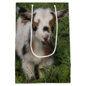 Blitzlicher nigerianischer Zwerg-Ziegenkid Mittlere Geschenktüte (Rückseite)