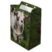 Blitzlicher nigerianischer Zwerg-Ziegenkid Mittlere Geschenktüte (Rückseite Schrägansicht)